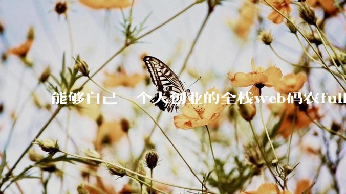 能够自己一个人创业的全栈web码农fullstack developer要会哪些技术？