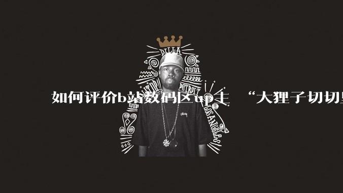 如何评价b站数码区up主 “大狸子切切里”?