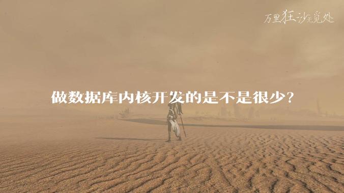 做数据库内核开发的是不是很少？