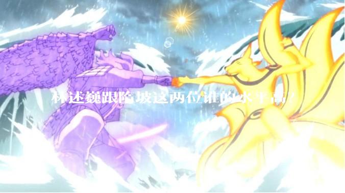 林述巍跟隋坡这两位谁的水平高？