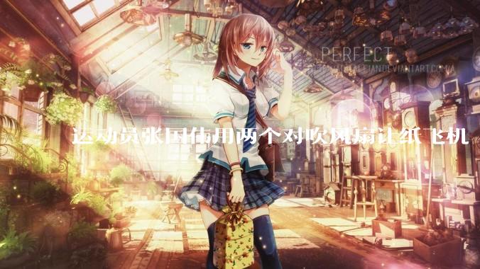 运动员张国伟用两个对吹风扇让纸飞机「悬停」，这是怎么实现的？从物理学角度如何解释？